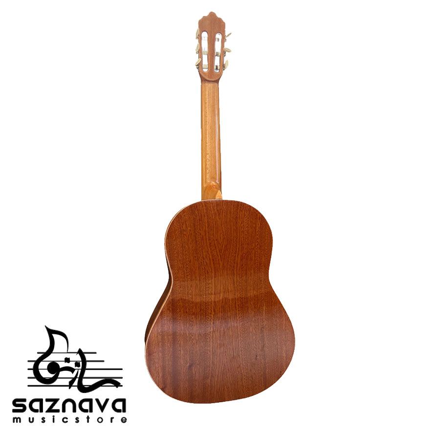 گیتار دوریس مدل D2